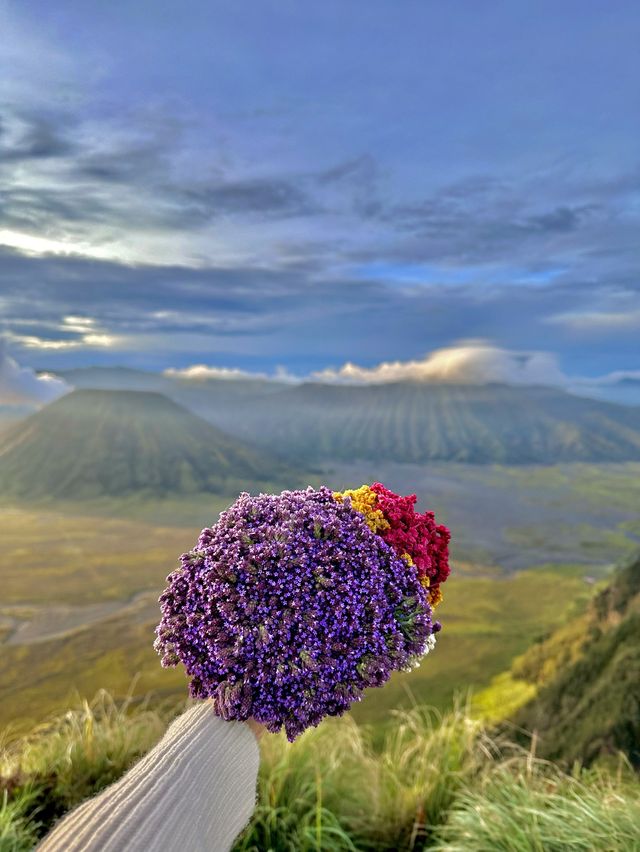Mount Bromo 