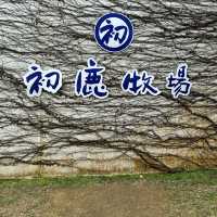 餐廳推薦：沐牧義式廚房