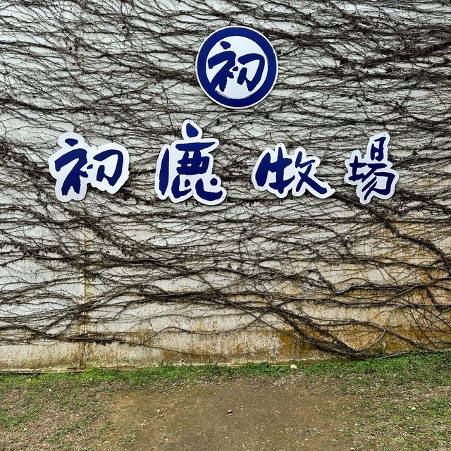 餐廳推薦：沐牧義式廚房