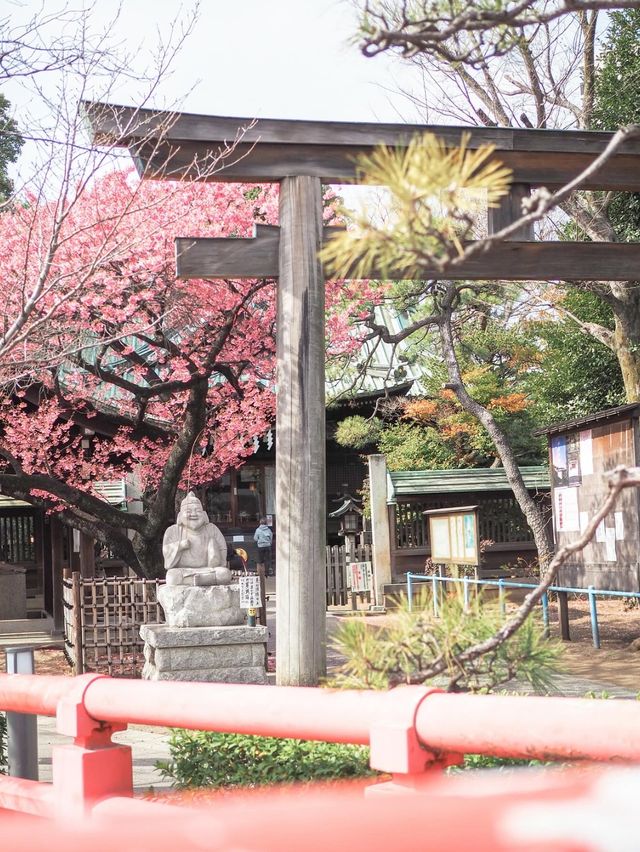 【東京】品川の龍神さま・寒緋桜がいま見頃の荏原神社