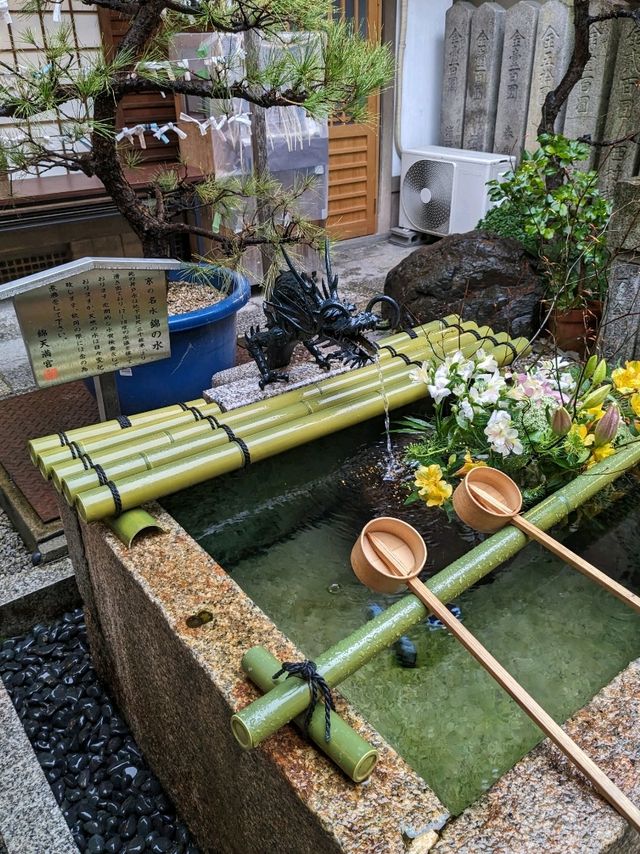 繁華街、唯一の神社【錦天満宮】の梅の花は、まだ八分咲きだけど綺麗だった