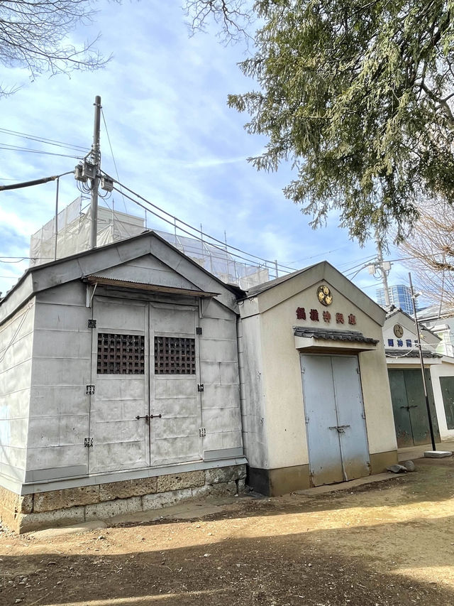 【中野天祖神社/東京都】大きな木がたくさん並ぶ神社