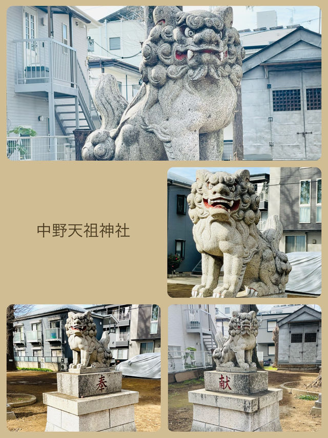【中野天祖神社/東京都】大きな木がたくさん並ぶ神社