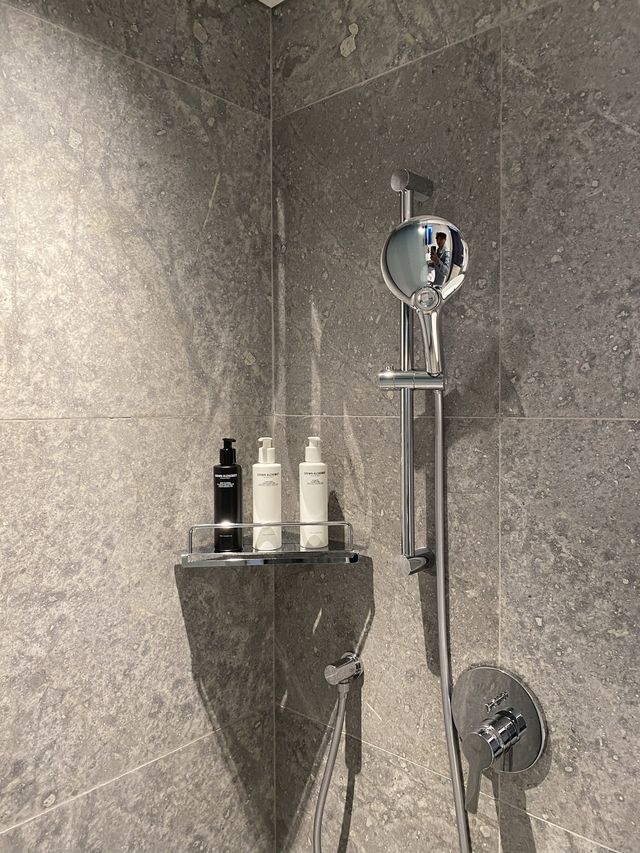 全首爾最靚景嘅酒店 Hotel Naru Seoul MGallery Ambassador