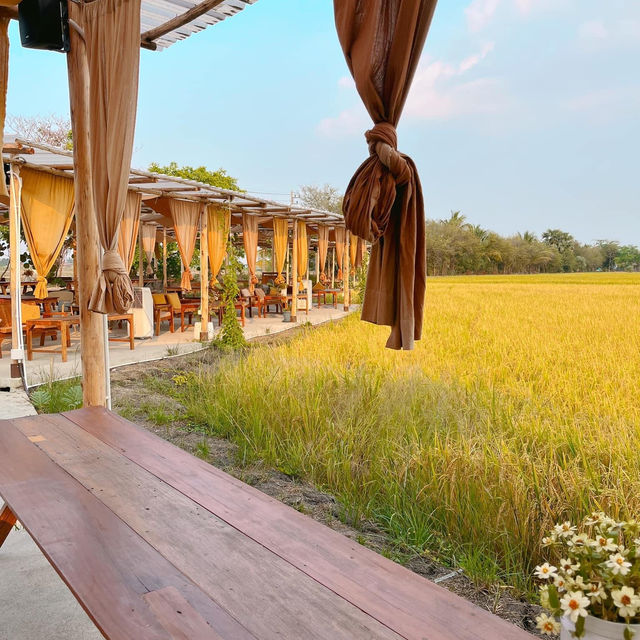 คาเฟ่ปทุมธานีเปิดใหม่  🍃🌾  
