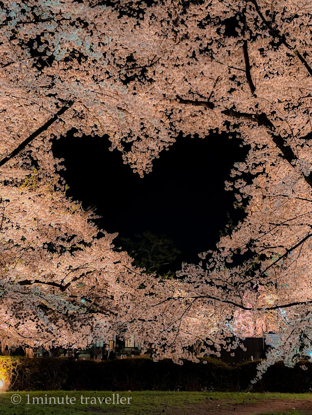 圧巻の桜絶景が盛りだくさん！弘前公園