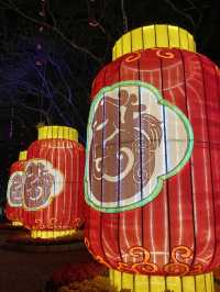 Light decor for CNY in Dong Zen temple💡💡