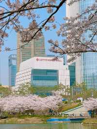 벚꽃하면 잠실 “석촌호수공원“
