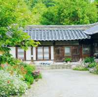 한국의 역사를 담은 경주 불국사를 다녀오며 ☸️