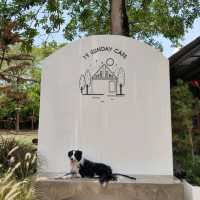 19 SUNDAY CAFE ฉะเชิงเทรา #Petfriendly