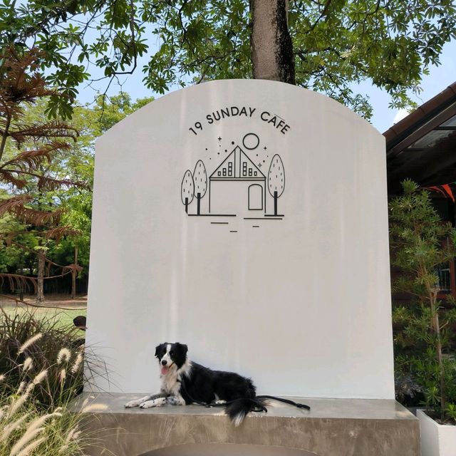 19 SUNDAY CAFE ฉะเชิงเทรา #Petfriendly