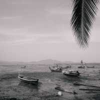 The Tropical Koh MOOK