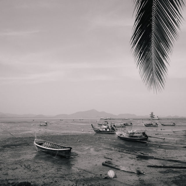 The Tropical Koh MOOK