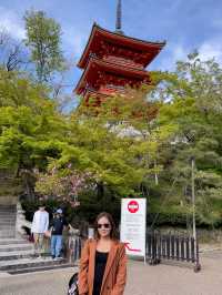 Koyasunoto Pagoda เจดีย์โคยาสุ จ.เกียวโต