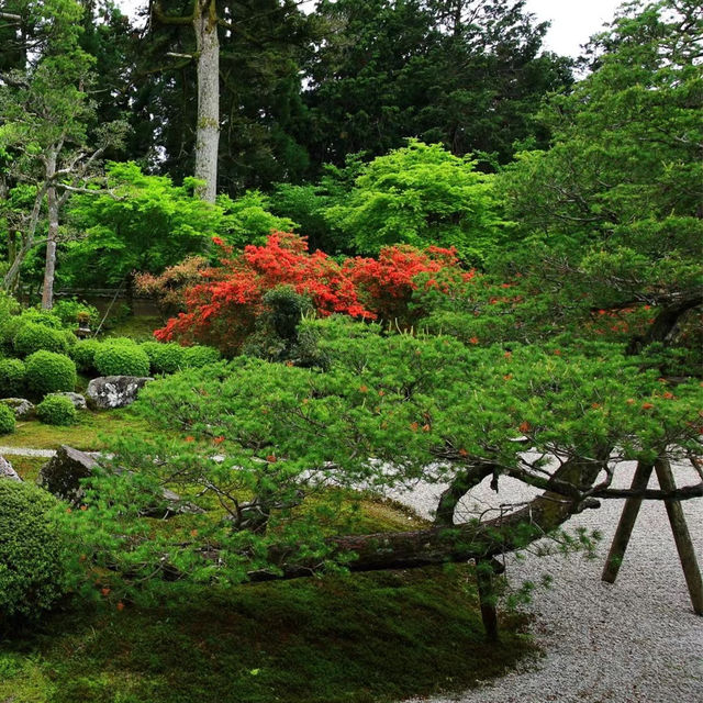 「安養園庭園」禪意枯山水景觀，超脫塵世的靈性狀態