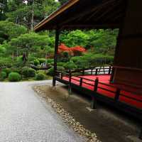 「安養園庭園」禪意枯山水景觀，超脫塵世的靈性狀態
