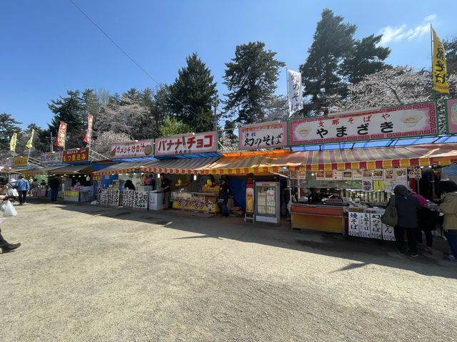 弘前公園櫻花適合春天遊玩