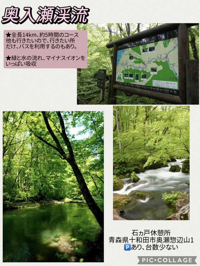 【青森】春は新緑の奥入瀬へ・・ONE DAYプラン