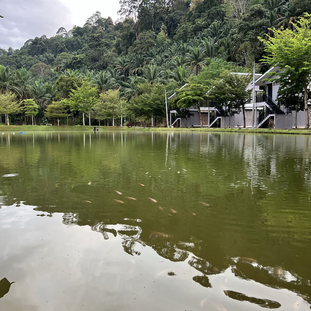 A Tranquil Place Sementra Nature Resort