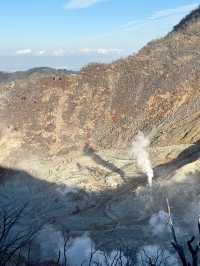 ✈️日本箱根大涌谷活火山半日遊🤎