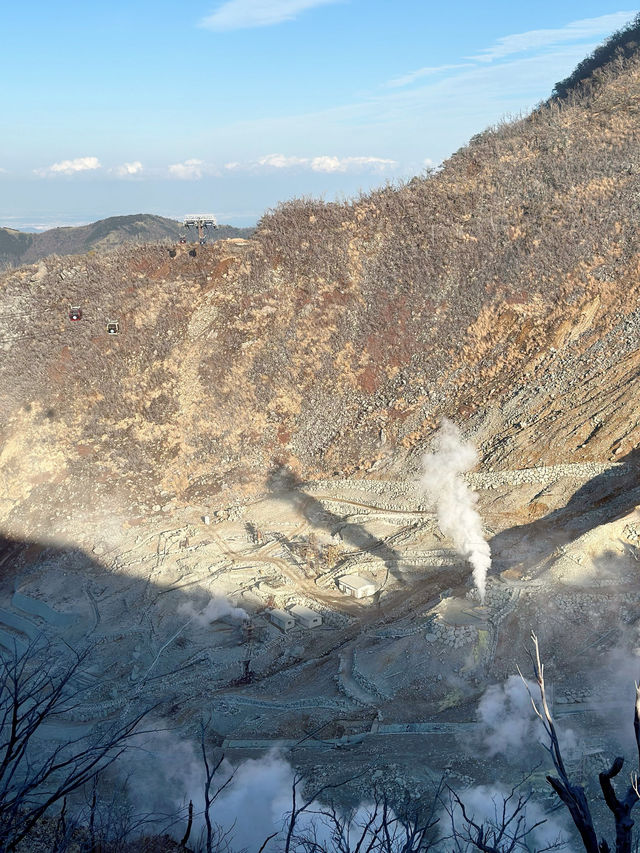✈️日本箱根大涌谷活火山半日遊🤎