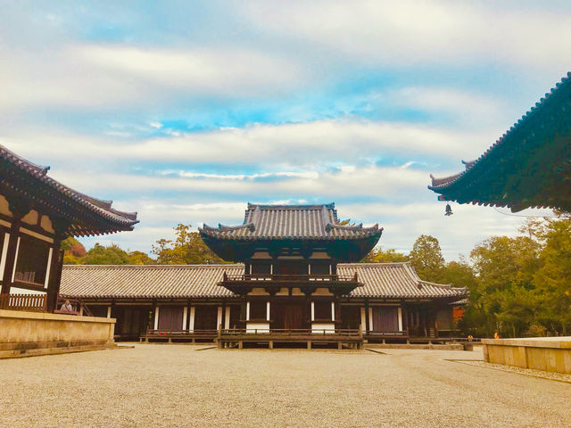 A beloved symbol of Nara’s connection to nature 🇯🇵