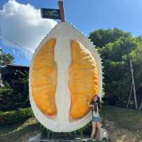 🌳 Family gatherings with largest DURIAN in 🇲🇾!
