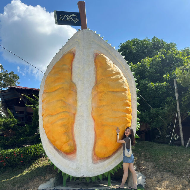 🌳 Family gatherings with largest DURIAN in 🇲🇾!
