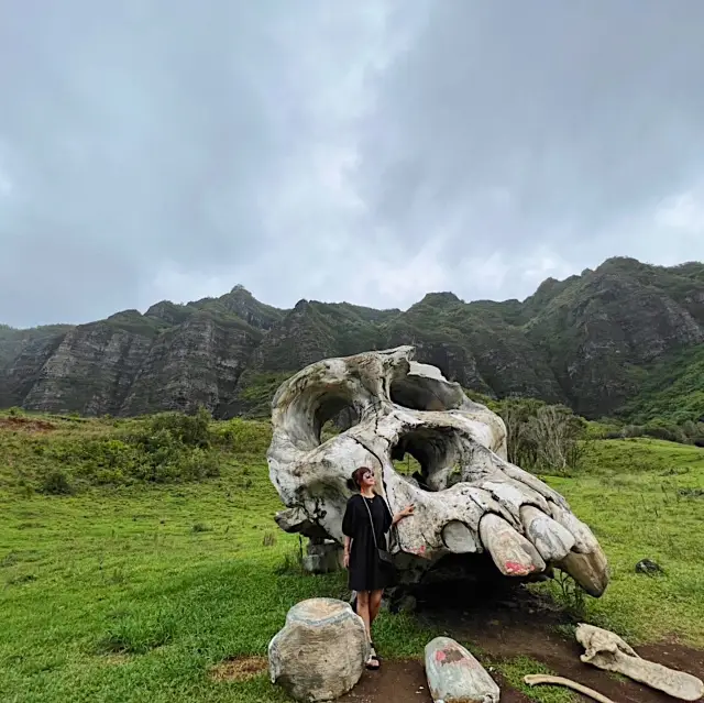【夏威夷】電影拍攝地！絕對要去的觀光景點！