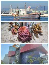 【大阪景點】海遊館：獨特設計、豐富展覽