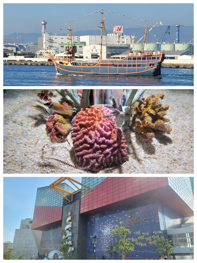 【大阪景點】海遊館：獨特設計、豐富展覽