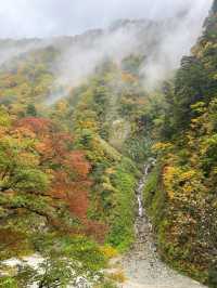 🚂 Kurobe Gorge ทางรถไฟสุดโรแมนติกในญี่ปุ่น