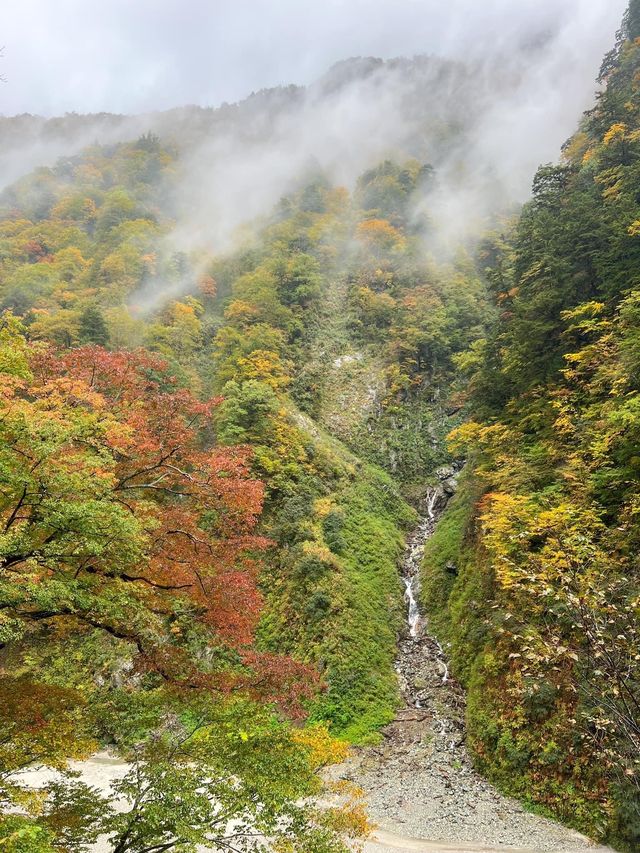 🚂 Kurobe Gorge ทางรถไฟสุดโรแมนติกในญี่ปุ่น