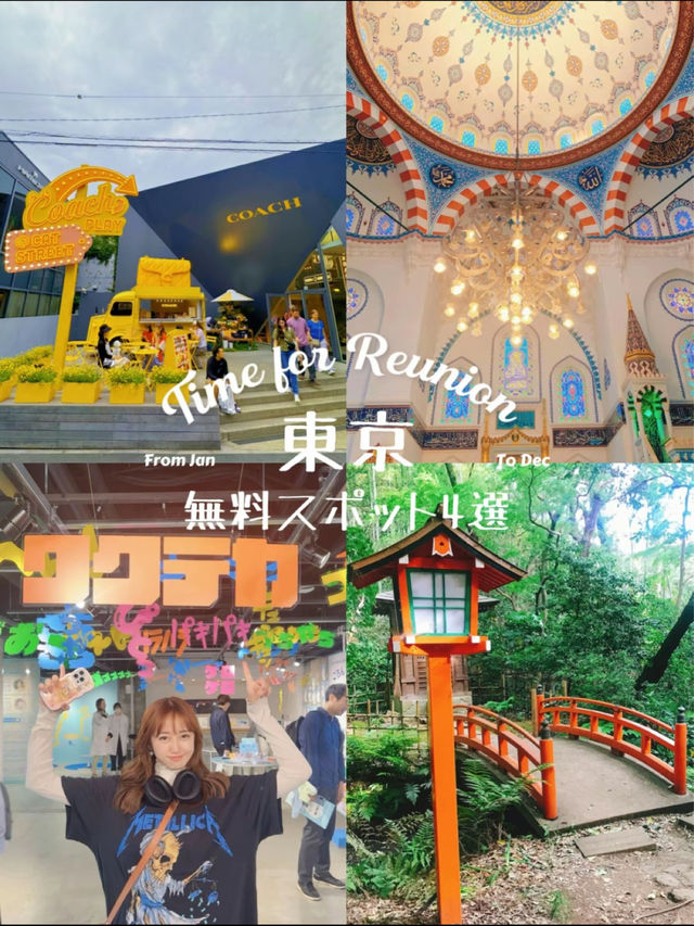 全部無料で行けるの？！東京にある無料映えスポット4選🫣🕊🤍