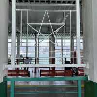 Ironic Star Ferry of Hong Kong