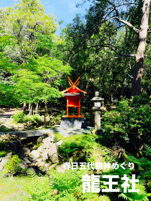 【奈良県】春日五代龍神めぐり「龍王社」