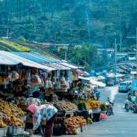 Indonesia the Wonders and Cultures in Asia