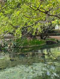 🇨🇳 Serene Escape to 束河古镇 (Shuhe Ancient Town), Lijiang