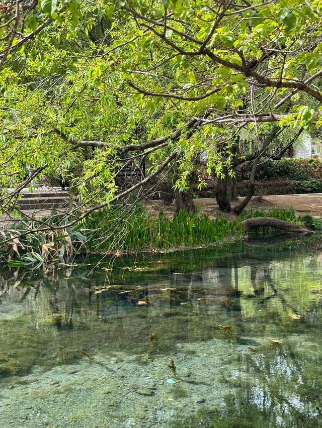 🇨🇳 Serene Escape to 束河古镇 (Shuhe Ancient Town), Lijiang