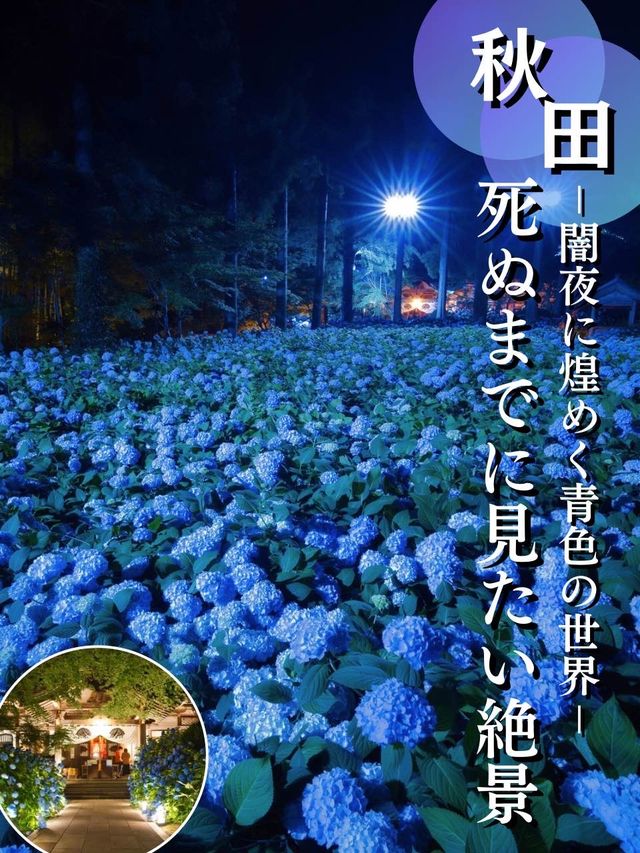 "死ぬまでに行きたい！世界の絶景"に選ばれた場所😍✨ライトアップver
