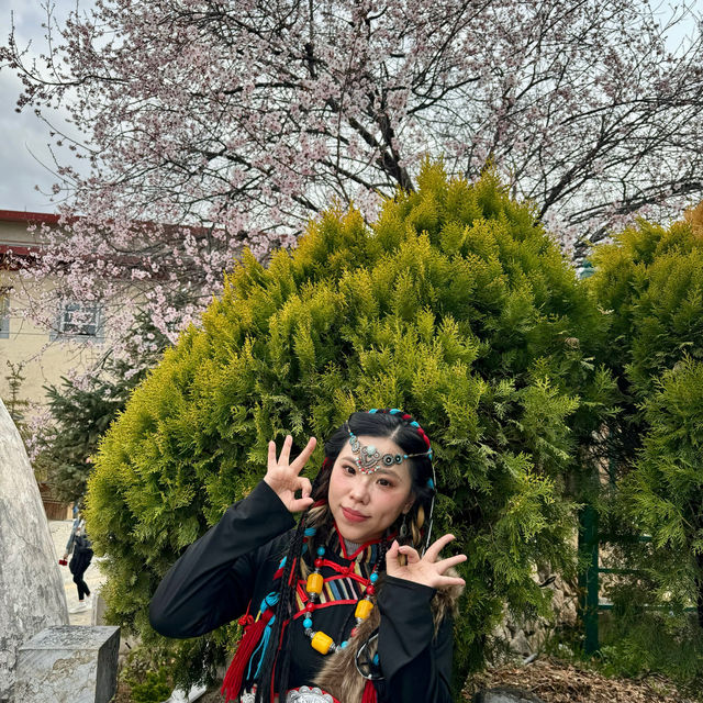 Photoshoot at Shangri-La Wearing Tibetan Costume 