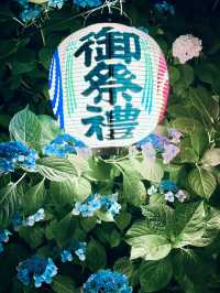 【栃木】あじさい×提灯が美しい磯山神社のあじさい祭り⛩