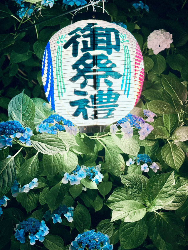 【栃木】あじさい×提灯が美しい磯山神社のあじさい祭り⛩