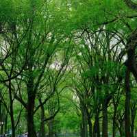Stonor Park and Gardens - 歷史文化與自然景觀的完美結合