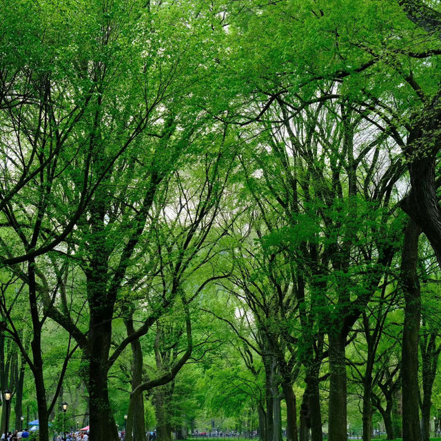 Stonor Park and Gardens - 歷史文化與自然景觀的完美結合