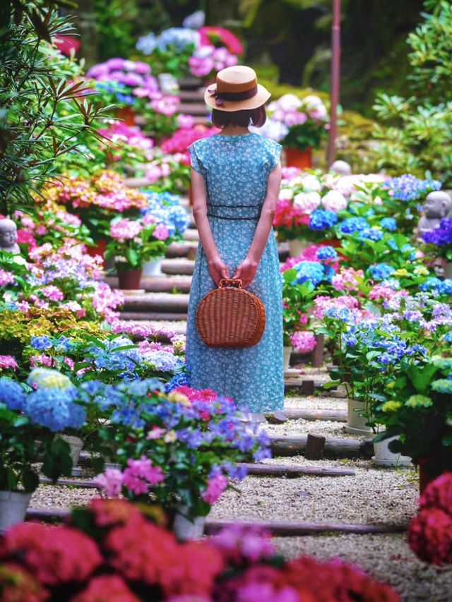 一度は訪れたい美しき花の寺💠💐🌿@奈良・岡寺