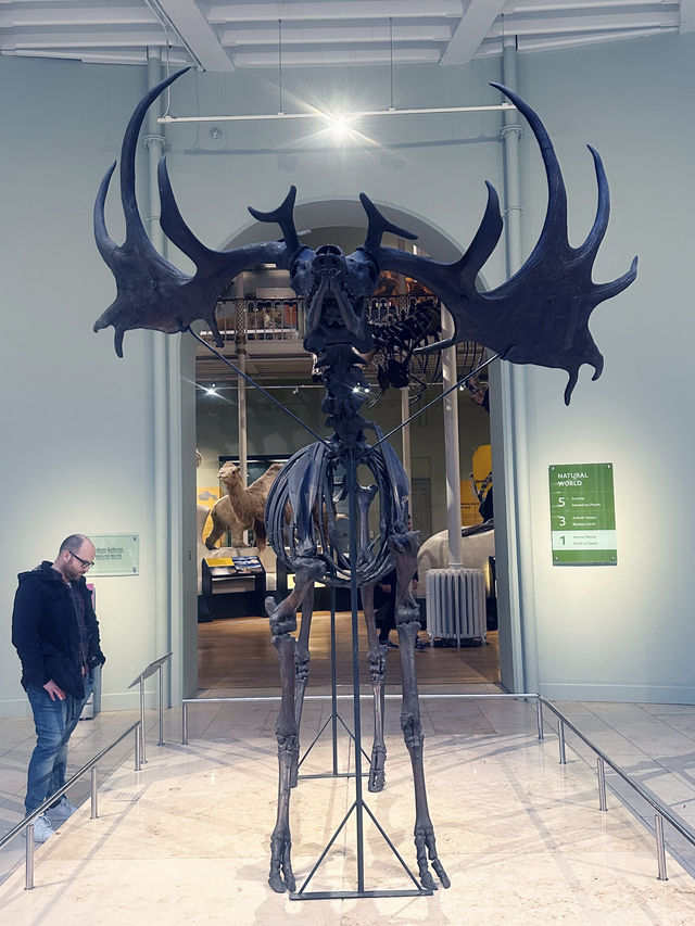 Free Visit to National Museum of Scotland 
