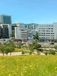 한국인보다 외국인이 더 많은 흥인지문 공원✨
