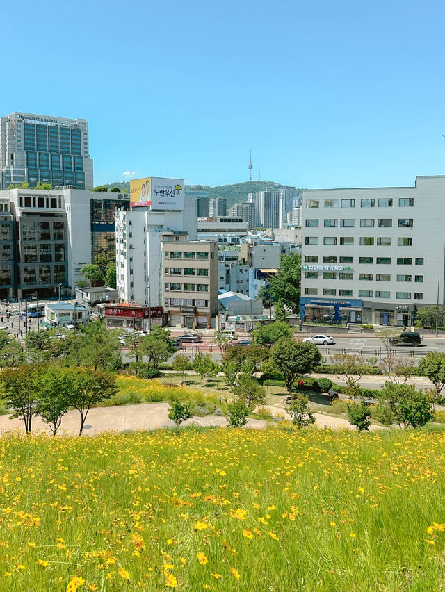 한국인보다 외국인이 더 많은 흥인지문 공원✨