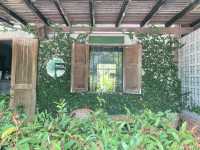 BaanPa’s Cafe ดอยสะเก็ด